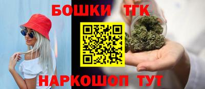 мдпв Камышлов