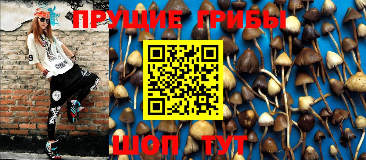 Галлюциногенные грибы Psilocybine cubensis Вольск